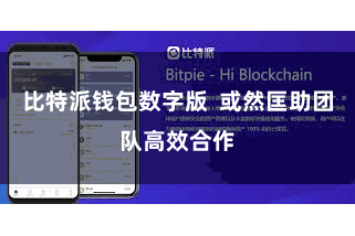比特派钱包数字版  或然匡助团队高效合作