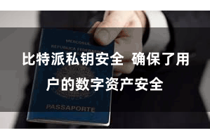 比特派私钥安全  确保了用户的数字资产安全