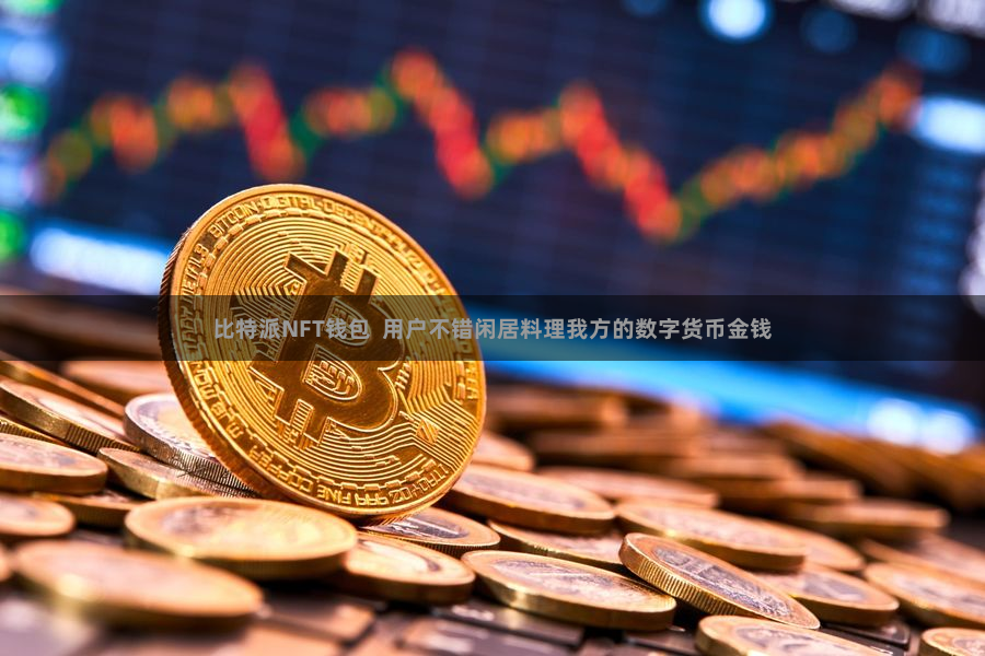 比特派NFT钱包  用户不错闲居料理我方的数字货币金钱