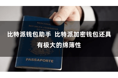 比特派钱包助手  比特派加密钱包还具有极大的绵薄性