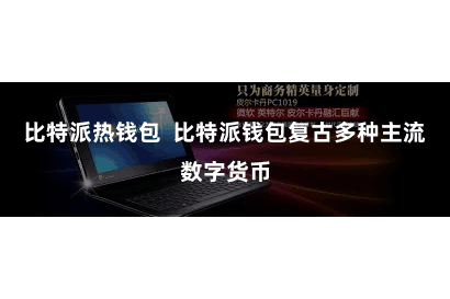 比特派热钱包  比特派钱包复古多种主流数字货币