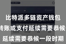 比特派多链资产钱包  进行转账或支付延续需要恭候一段时期